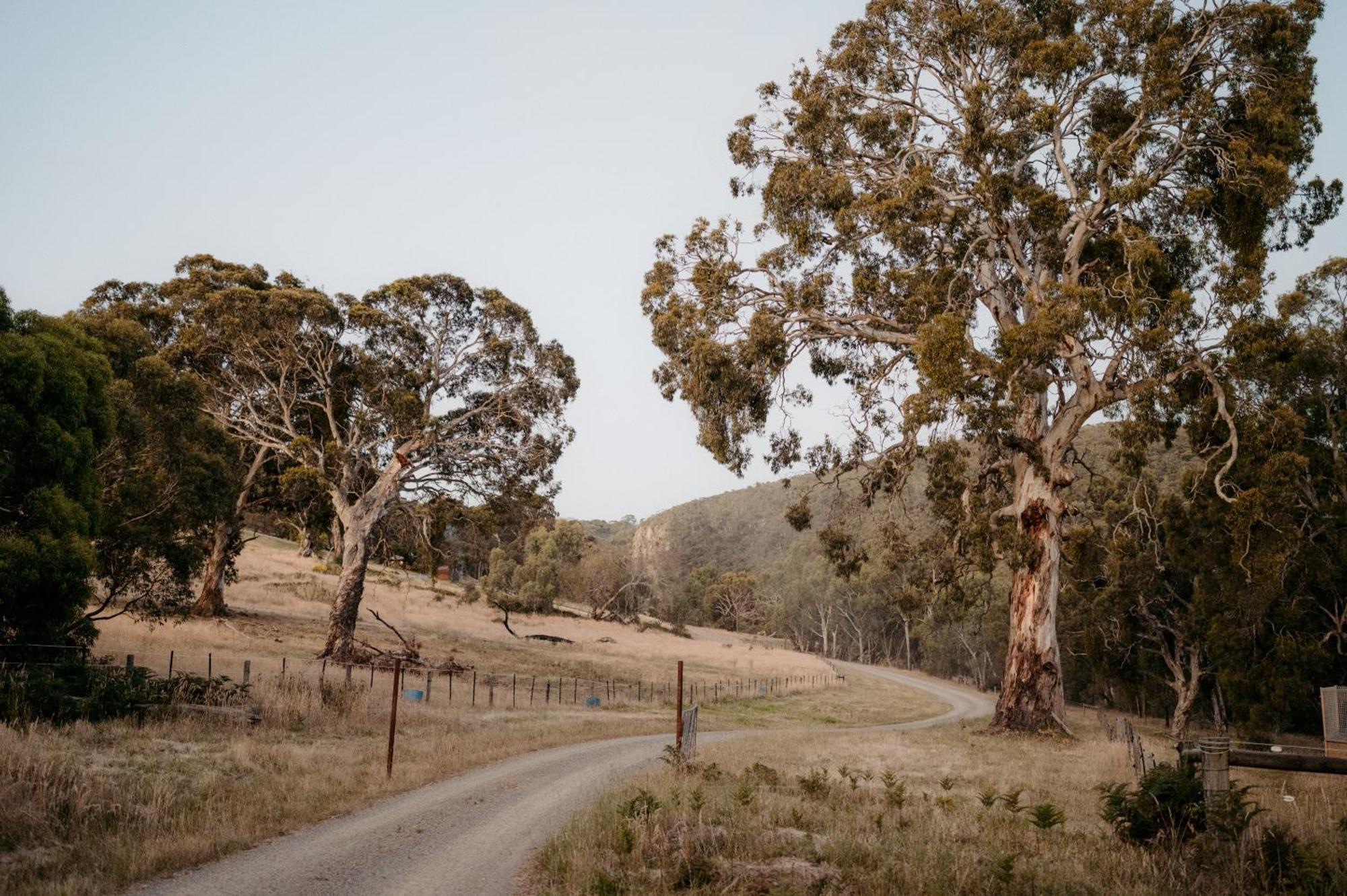 Luxury Safari Tent Waterfalls And Hikes Hindmarsh Valley