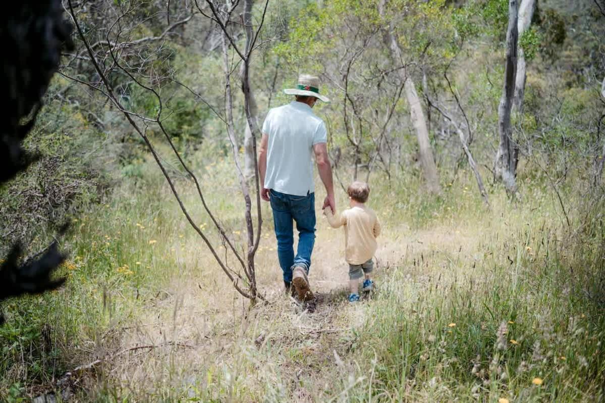 Luxury Safari Tent Waterfalls And Hikes Hindmarsh Valley
