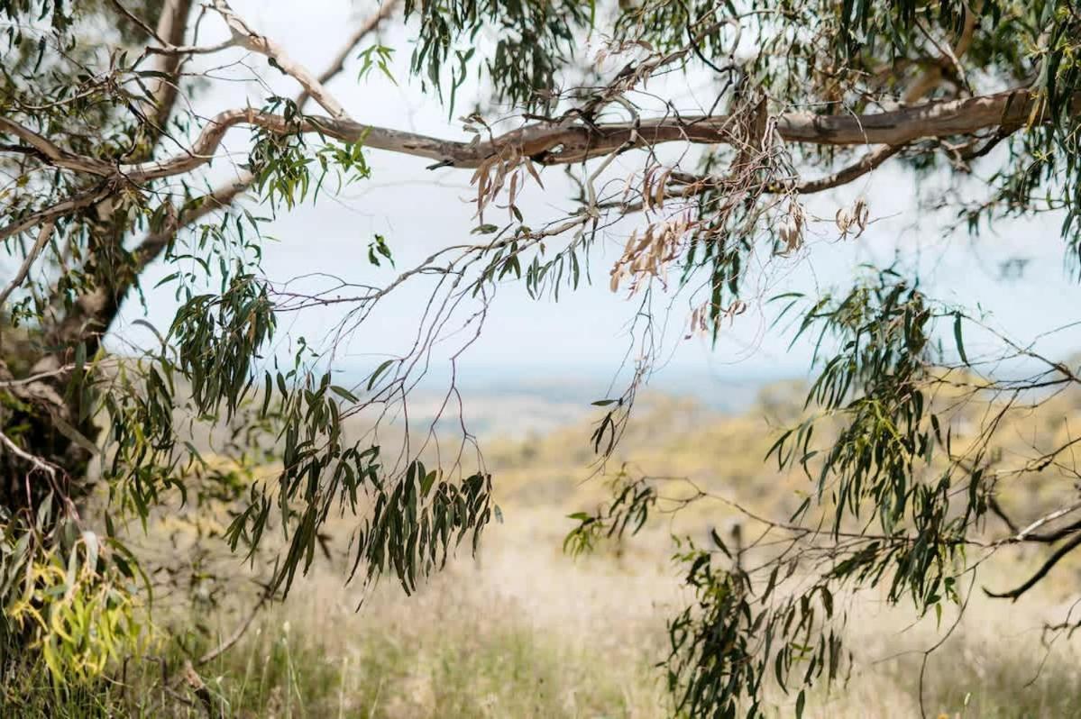 Luxury Safari Tent Waterfalls And Hikes
