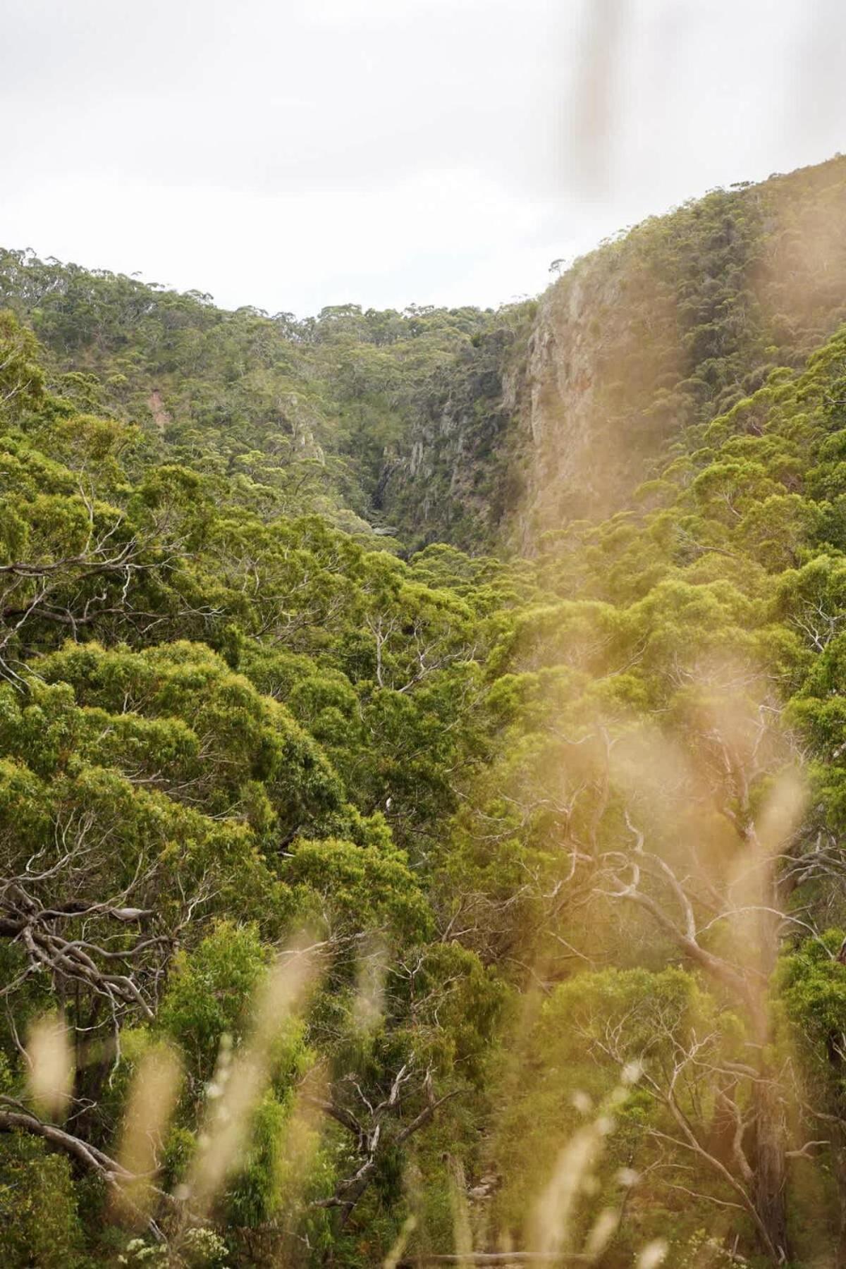 Luxury Safari Tent Waterfalls And Hikes Luxury tent Hindmarsh Valley